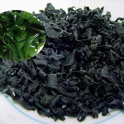 裙带菜干货散装5kg/箱8kg/箱 脱水干燥螺旋藻海产品箱装厂家批发图3