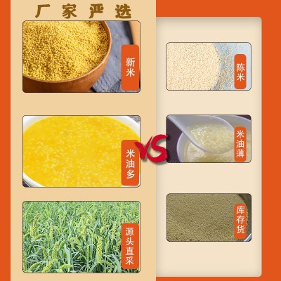 黄小米批发 新米糯小黄米五谷杂粮食品月子粥大包装工厂一件代发图2