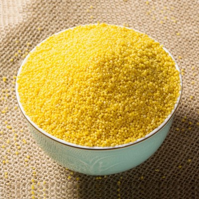 黄小米批发 新米糯小黄米五谷杂粮食品月子粥大包装工厂一件代发图3
