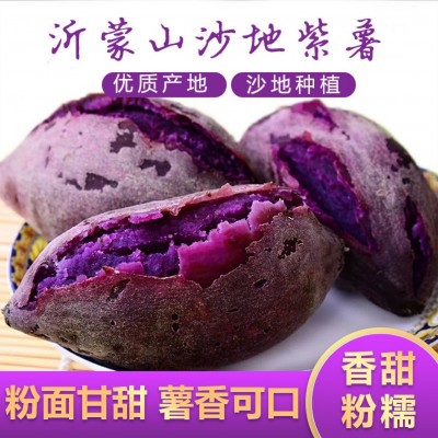 山东紫罗兰紫薯新鲜沙地紫薯酸糯香甜沂蒙山紫薯3/5斤代餐图4