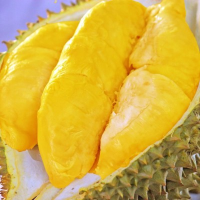 泰国当季新鲜榴莲金枕托曼尼榴莲热带应季水果整颗带壳榴莲批发