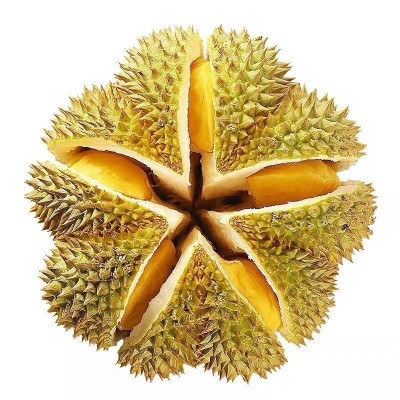 泰国当季新鲜榴莲金枕托曼尼榴莲热带应季水果整颗带壳榴莲批发图5