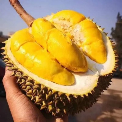 泰国当季新鲜榴莲金枕托曼尼榴莲热带应季水果整颗带壳榴莲批发图4