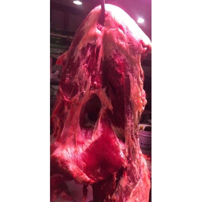 内蒙古直供批发新鲜牛腿肉牛肉散养黄牛烧烤火锅牛肉一件代发图2