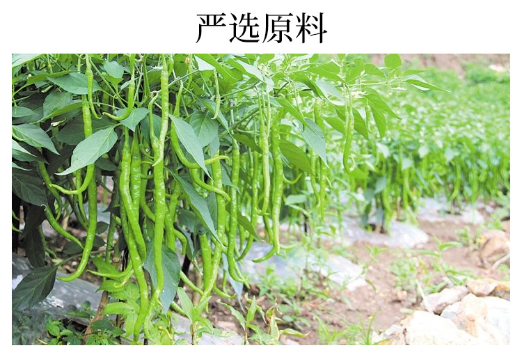 详情_02