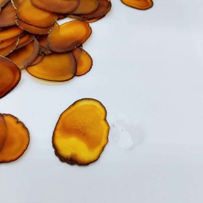鹿乡鹿茸干蜡片切片腊片整枝鹿茸煲汤泡水泡酒鹿茸腊片批发图4