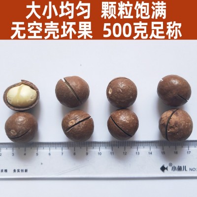 【奶油味原味夏威夷果】500克坚果开口大颗粒壳薄送翘片云南图4