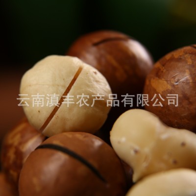 云南夏威夷果原味散装每日坚果网红孕妇休闲零食新货干果批发整箱图4