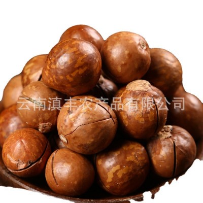 云南夏威夷果原味散装每日坚果网红孕妇休闲零食新货干果批发整箱图5
