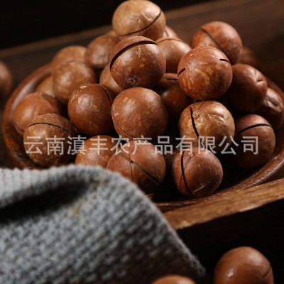 云南夏威夷果原味散装每日坚果网红孕妇休闲零食新货干果批发整箱图3
