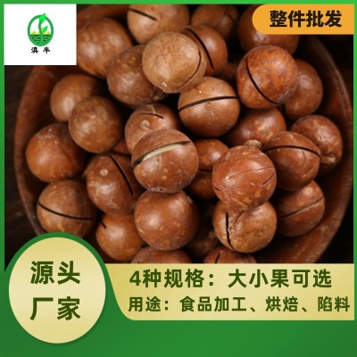 云南夏威夷果原味散装每日坚果网红孕妇休闲零食新货干果批发整箱