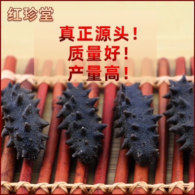 大连特产非干货半干海参批发海产品大火拉缸盐海参盐渍大连海参