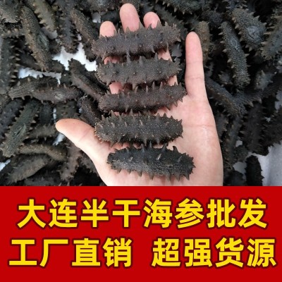 半干海参 拉缸盐 大火候、中火候 盐渍海参批发500g