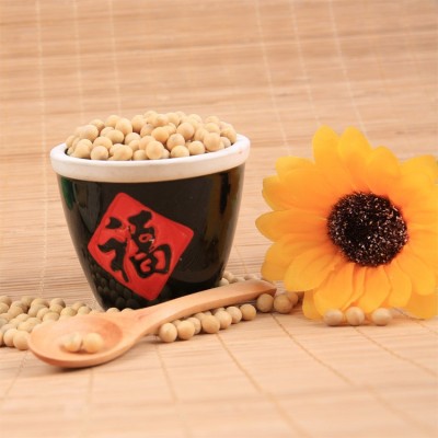 温达香有机黄豆325g 东北有机黄豆批发厂家直供 东北黄豆大豆米砖图4