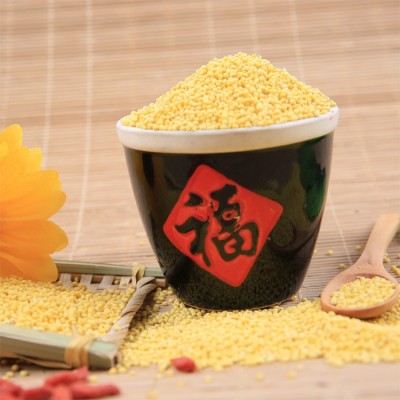 温达香粮油米面有机黄小米400g 月子粮食小黄米批发图4