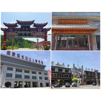 长白山干人参500g人参 原皮白参7年大支生晒参产地直发地摊人参图3