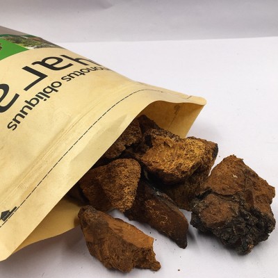 大量批发俄罗斯桦褐孔菌500克 桦树茸批发 桦树黄灵芝 桦树泪图3