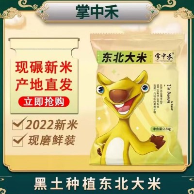 掌中禾 22年新米5斤东北大米米香四溢黑龙江大米厂家批发