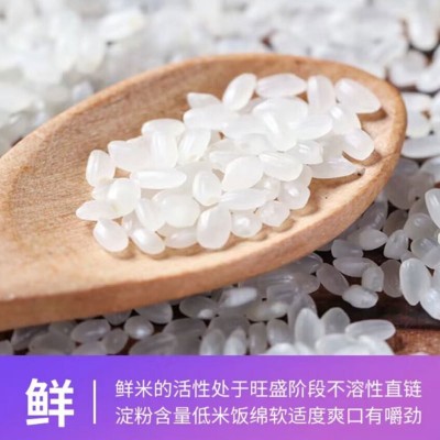 掌中禾 寒地生态大米10斤东北大米新米厂家批发图2