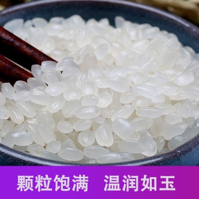 掌中禾 寒地生态大米10斤东北大米新米厂家批发图4