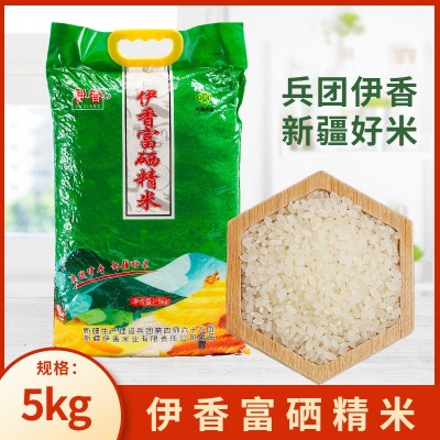 伊香富硒精米5kg家用袋装新疆察布查尔县鸭稻大米粳米营养