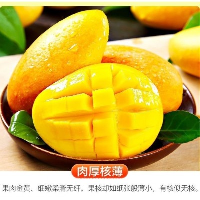正宗海南小台芒10斤整箱台农一号芒果新鲜水果当季热带青水果批发图2