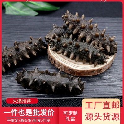 半干大连海参 拉缸盐海参 非即食海参盐干深海辽刺参500g图5