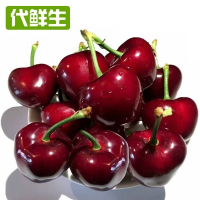 大连美早樱桃新鲜现摘现发，大连樱桃顺丰包邮，支持一件代发图5