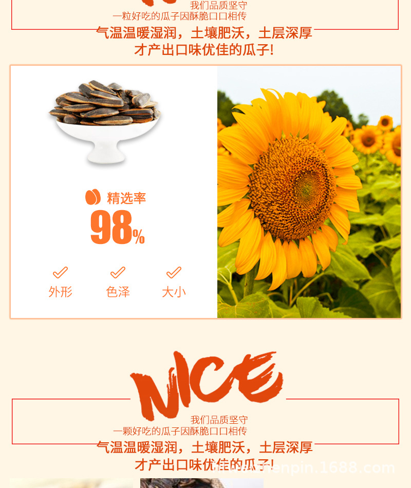 焦糖瓜子_03.jpg