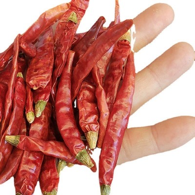 印度辣椒500g现货批发魔鬼变态辣干辣椒特辣椒红油图4