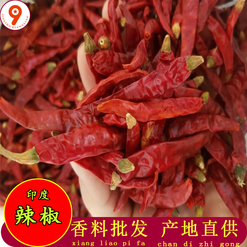 印度辣椒1