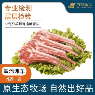 宁夏盐池滩羊肉 法式羊排 新鲜小切 鲜肉现切 羔羊排原切 百草滩羊厂家直销图6
