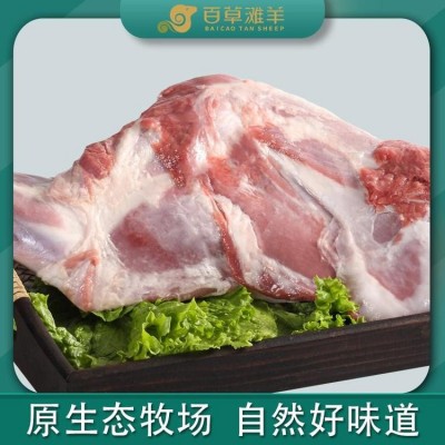 正宗宁夏盐池滩羊肉 整骨前腿 新鲜现杀鲜肉现切 百草滩羊出厂价格图3