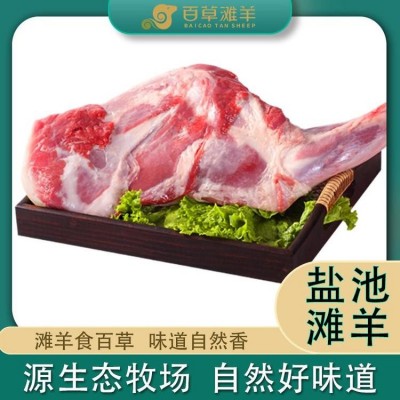 正宗宁夏盐池滩羊肉 整骨前腿 新鲜现杀鲜肉现切 百草滩羊出厂价格图2