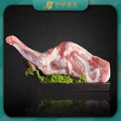 正宗宁夏盐池滩羊肉 整骨前腿 新鲜现杀鲜肉现切 百草滩羊出厂价格图5