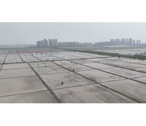 这里的智慧农业到底有多聪明？