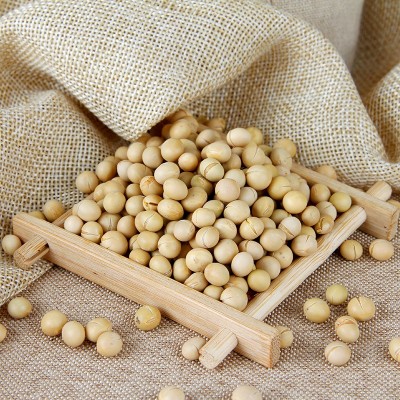 厂家直销粗粮低温烘焙五谷杂粮早餐店商用磨坊原料批发熟黄豆图4