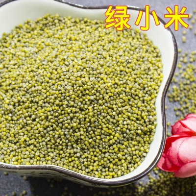 批发绿小米 厂家销售五谷杂粮原料散装图3