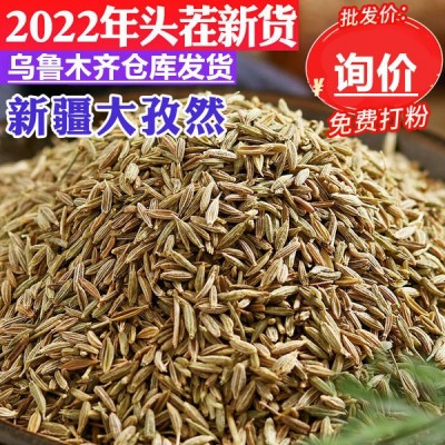 孜然烧烤调撒料新疆纯孜然粒碎批 户外家庭烤鱼羊肉串配料500g