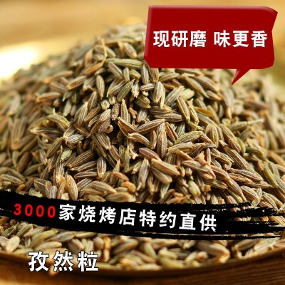 孜然烧烤调撒料新疆纯孜然粒碎批 户外家庭烤鱼羊肉串配料500g图3