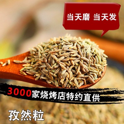 孜然烧烤调撒料新疆纯孜然粒碎批 户外家庭烤鱼羊肉串配料500g图2