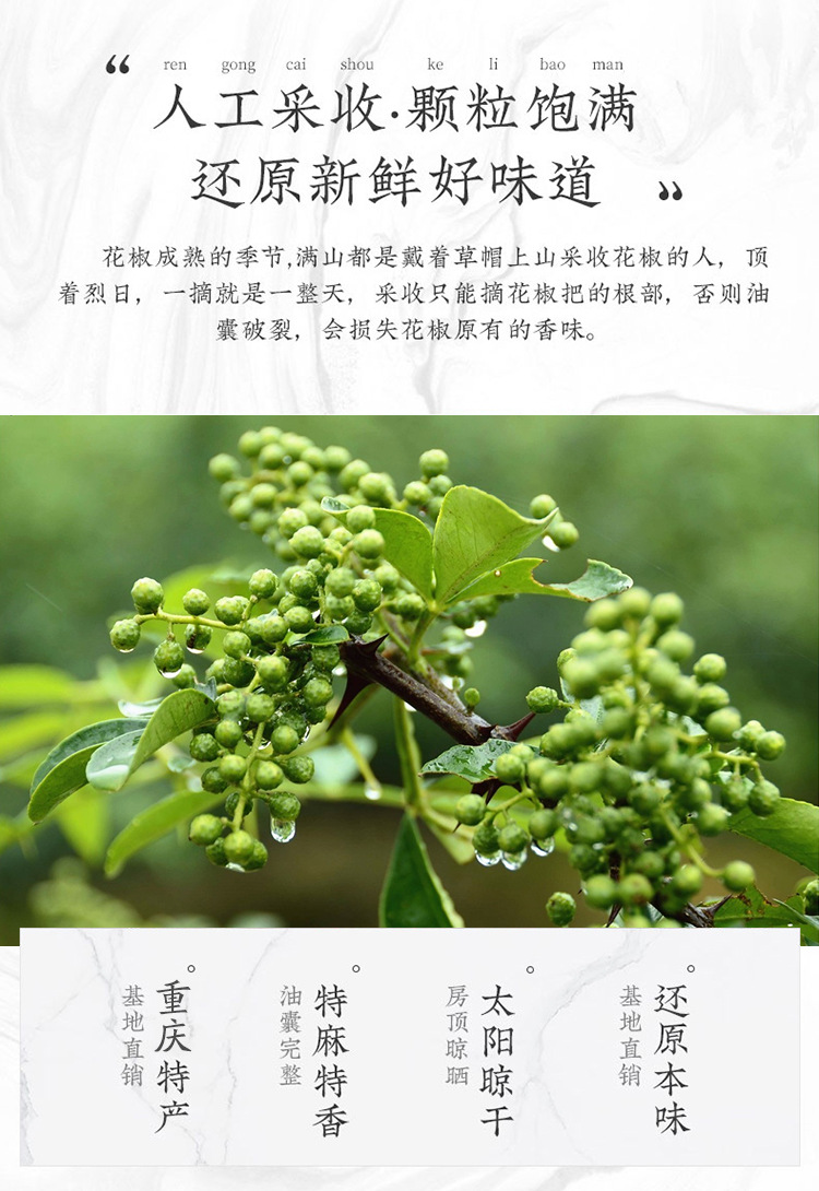 江津青花椒_04.jpg