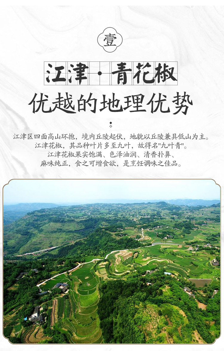 江津青花椒_03.jpg