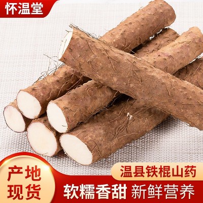 河南特产焦作温县淮山铁棍山药棍现货5斤气柱装铁杆农家淮山药糯 5千克起定