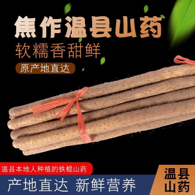 河南特产焦作温县淮山铁棍山药棍现货5斤气柱装铁杆农家淮山药糯 5千克起定图3