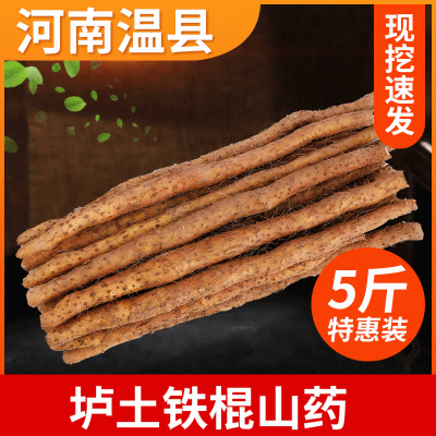 温县垆土地淮山药棍 河南焦作特产铁棍山药 山药5斤气柱包装 2件起批图4