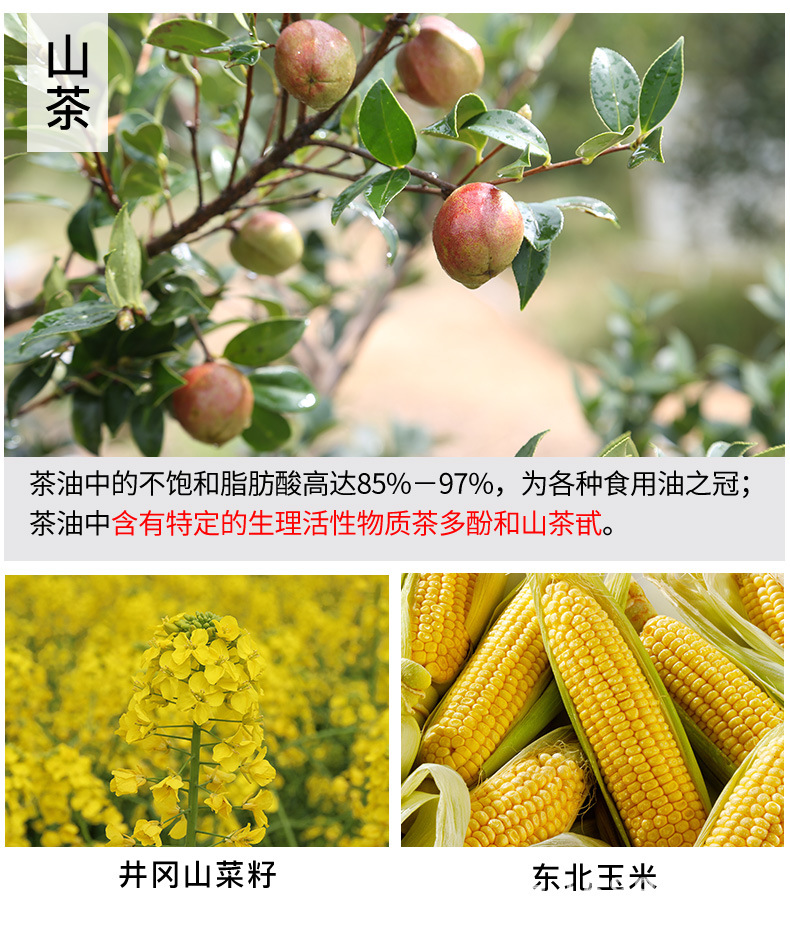 山茶亚麻_05.jpg