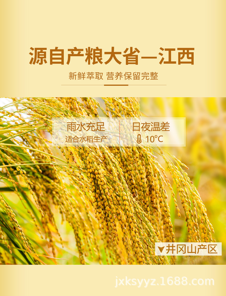 稻米油_06.jpg