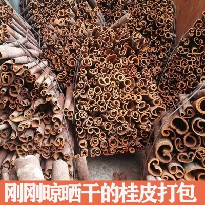 批发桂皮500g克 干货肉桂烟桂 手选桂通 调料大全香料炖肉料图3