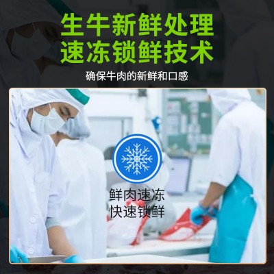 鲜切牛肉原切牛腿肉一斤装冷冻牛肉商火锅饭店用厂家批发图4